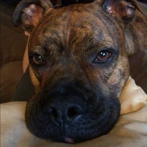 Meet your Posher, Holly